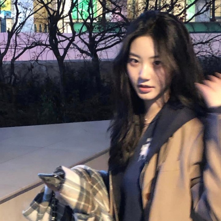 花姊妹风流债